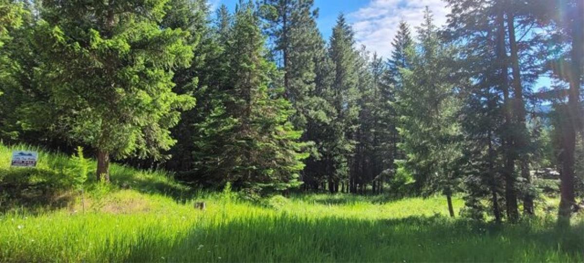 Picture of Residential Land For Sale in Libby, Montana, United States