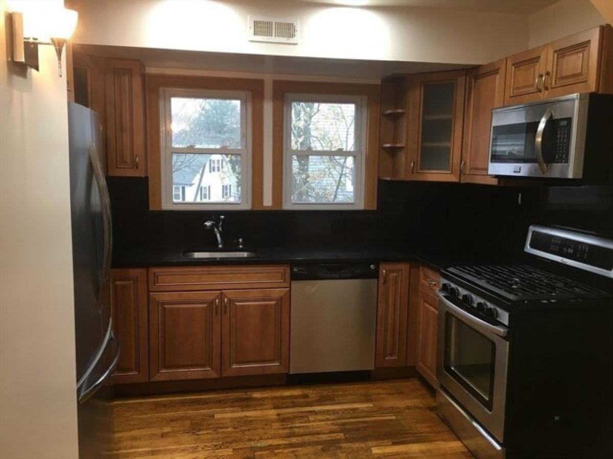 Picture of Apartment For Rent in Brookline, Massachusetts, United States