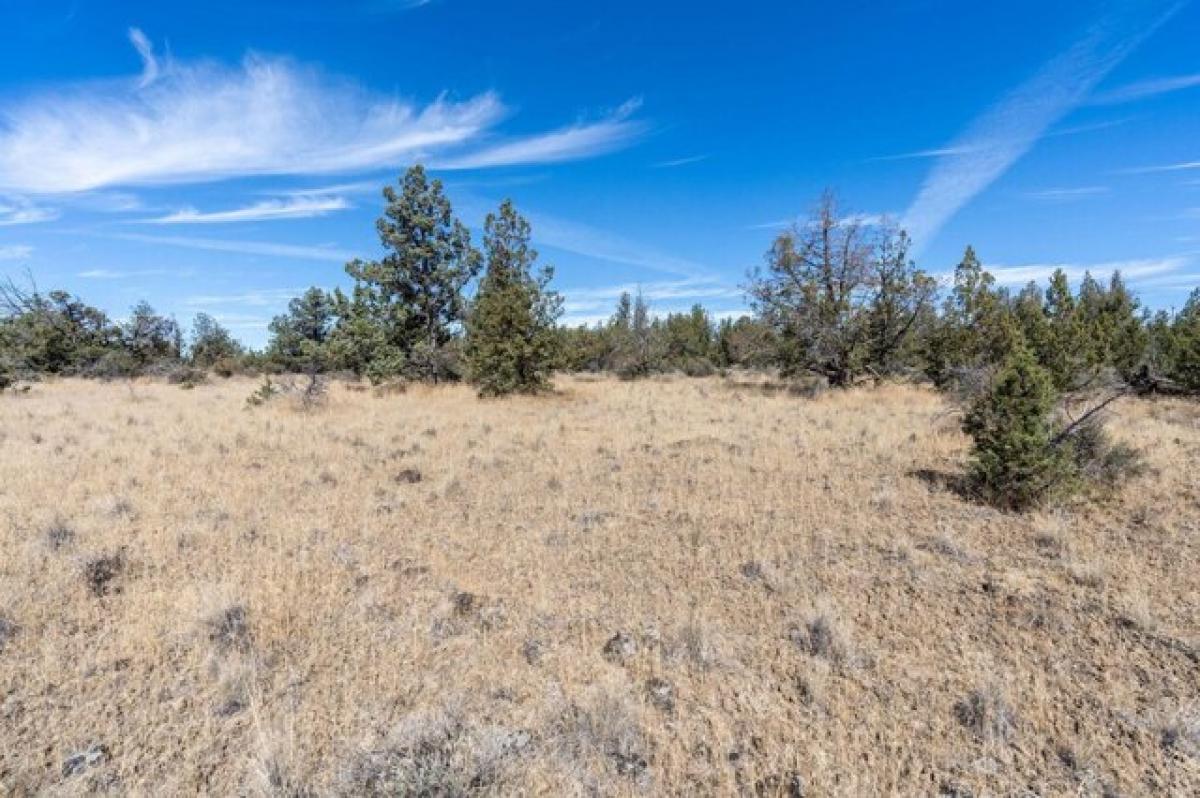 Picture of Residential Land For Sale in Prineville, Oregon, United States