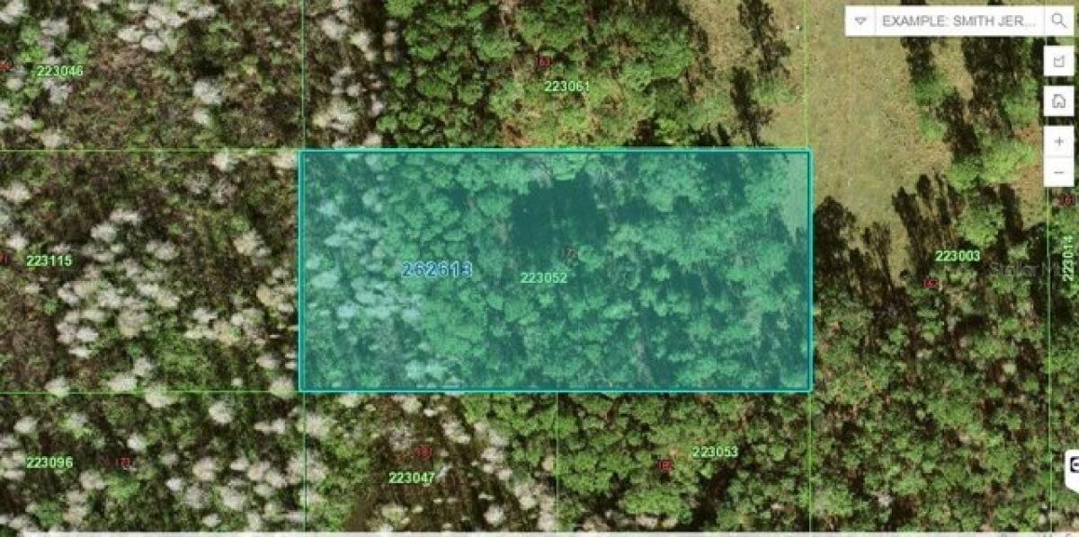 Picture of Residential Land For Sale in Polk City, Florida, United States