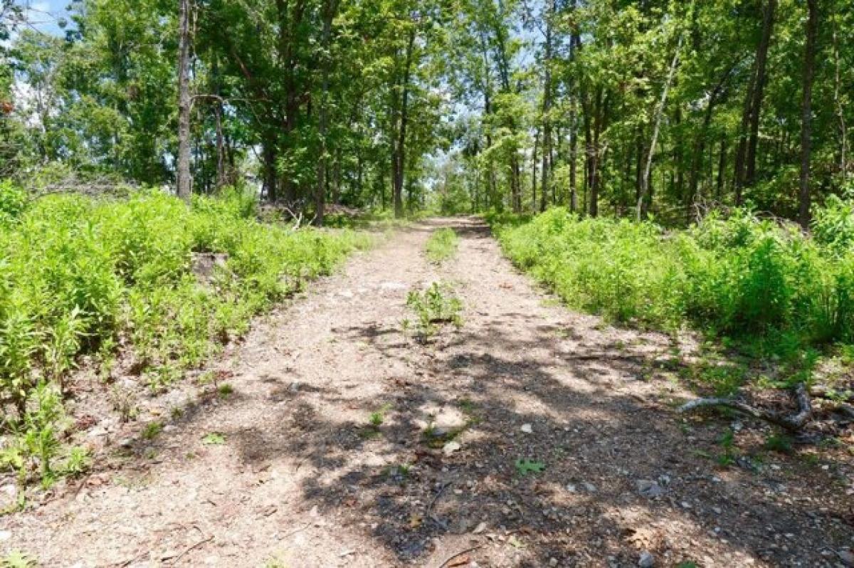 Picture of Residential Land For Sale in Mammoth Spring, Arkansas, United States