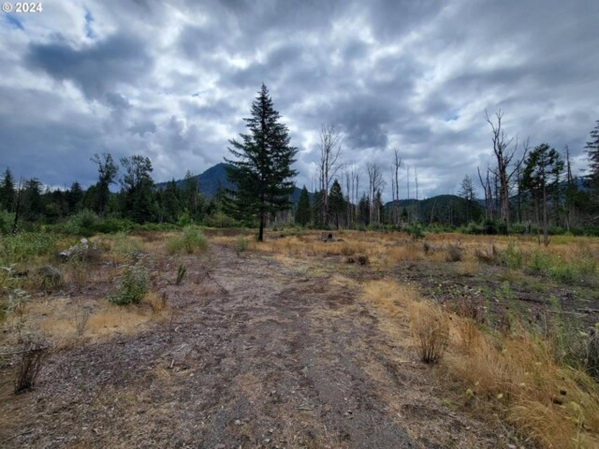 Picture of Residential Land For Sale in Blue River, Oregon, United States