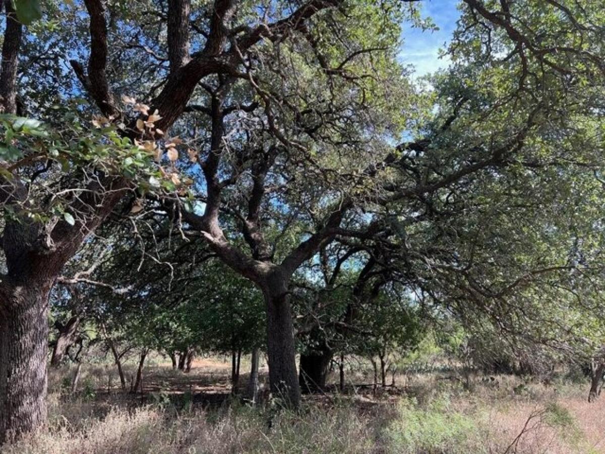 Picture of Residential Land For Sale in Brady, Texas, United States