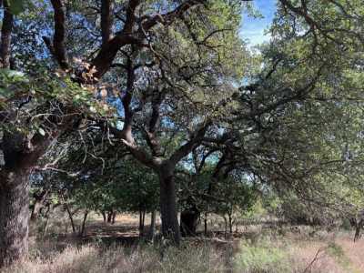 Residential Land For Sale in Brady, Texas