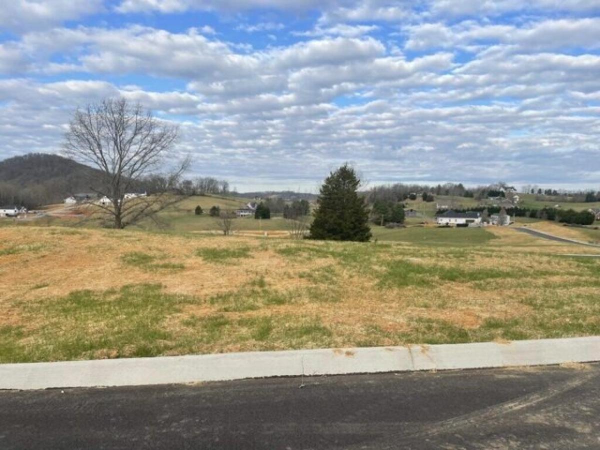 Picture of Residential Land For Sale in Jonesborough, Tennessee, United States