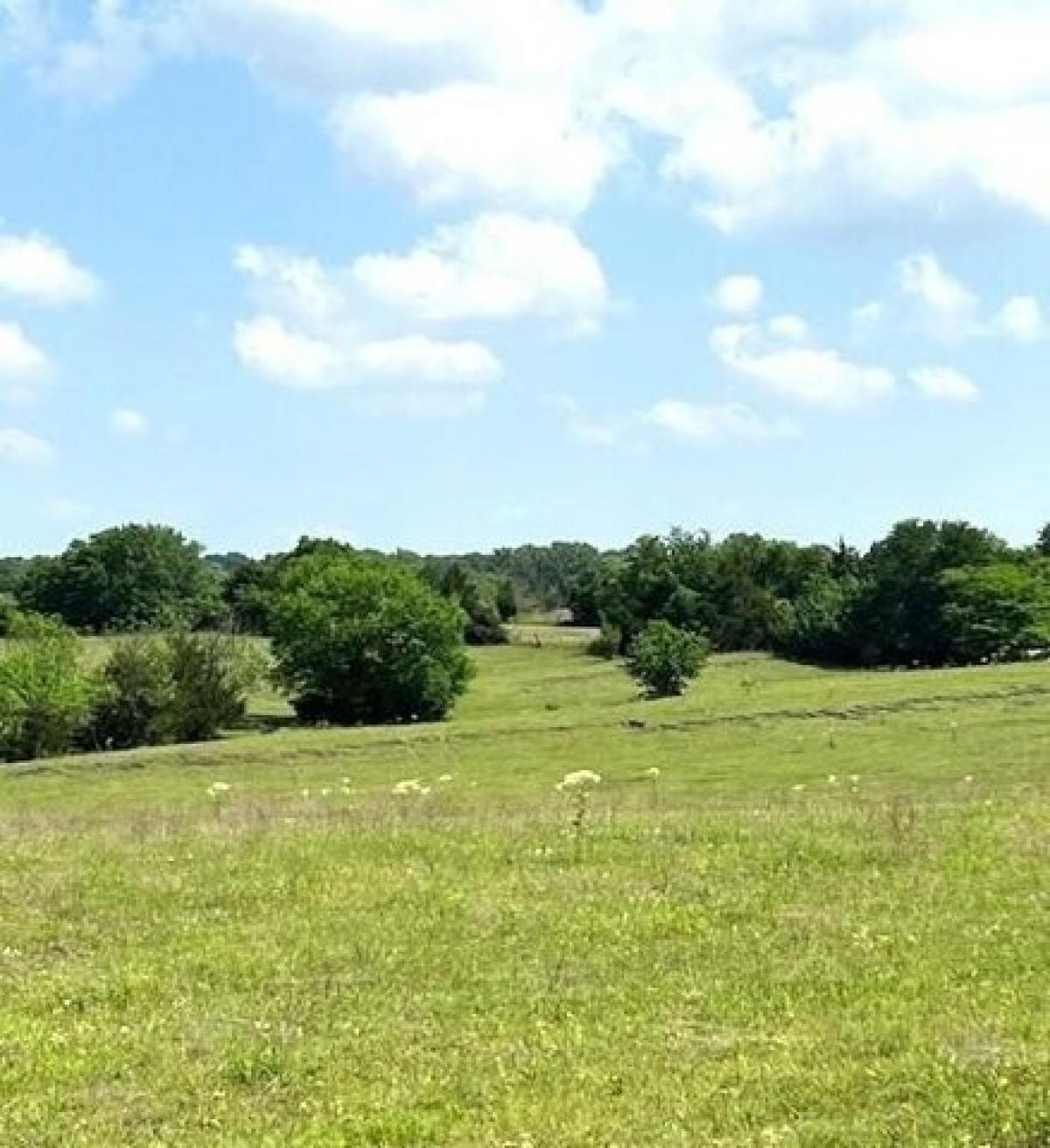 Picture of Residential Land For Sale in Farmersville, Texas, United States