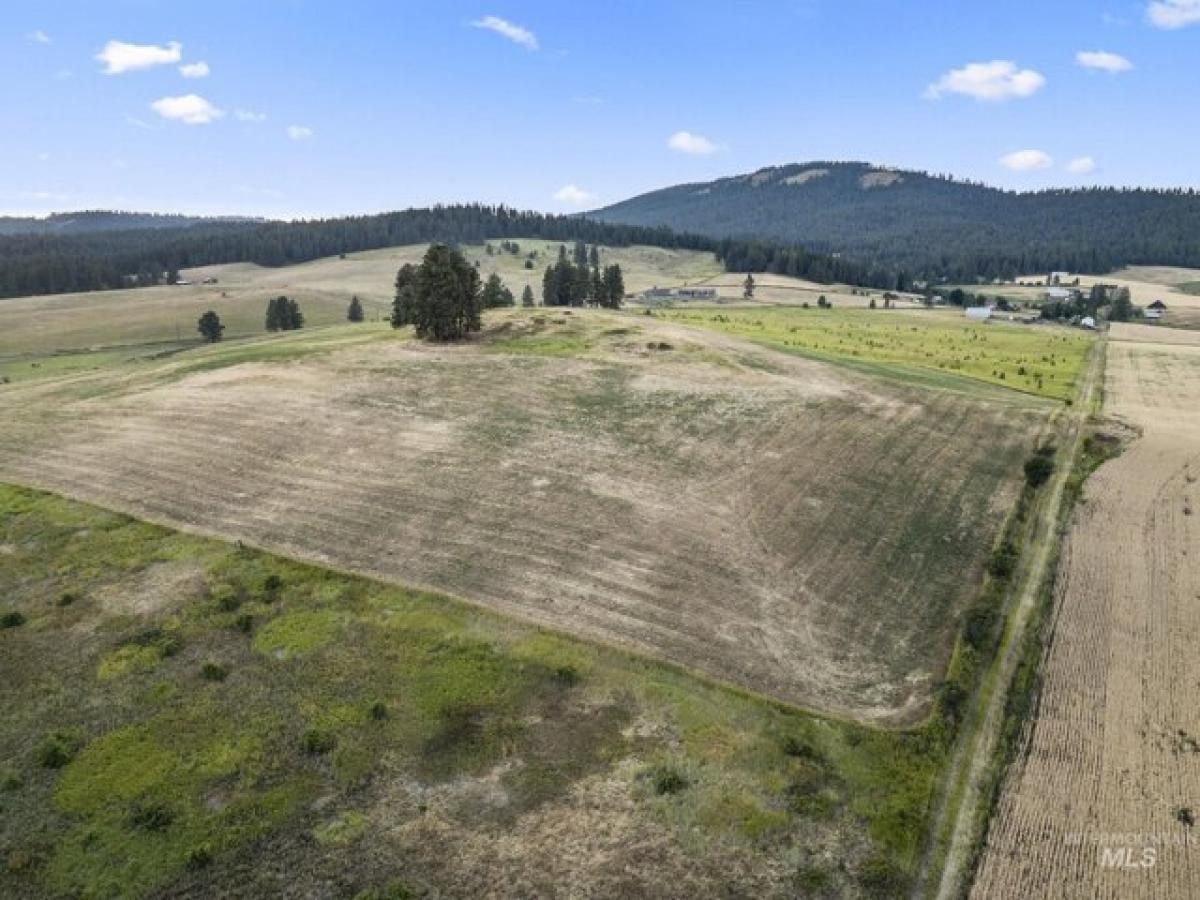 Picture of Residential Land For Sale in Cottonwood, Idaho, United States