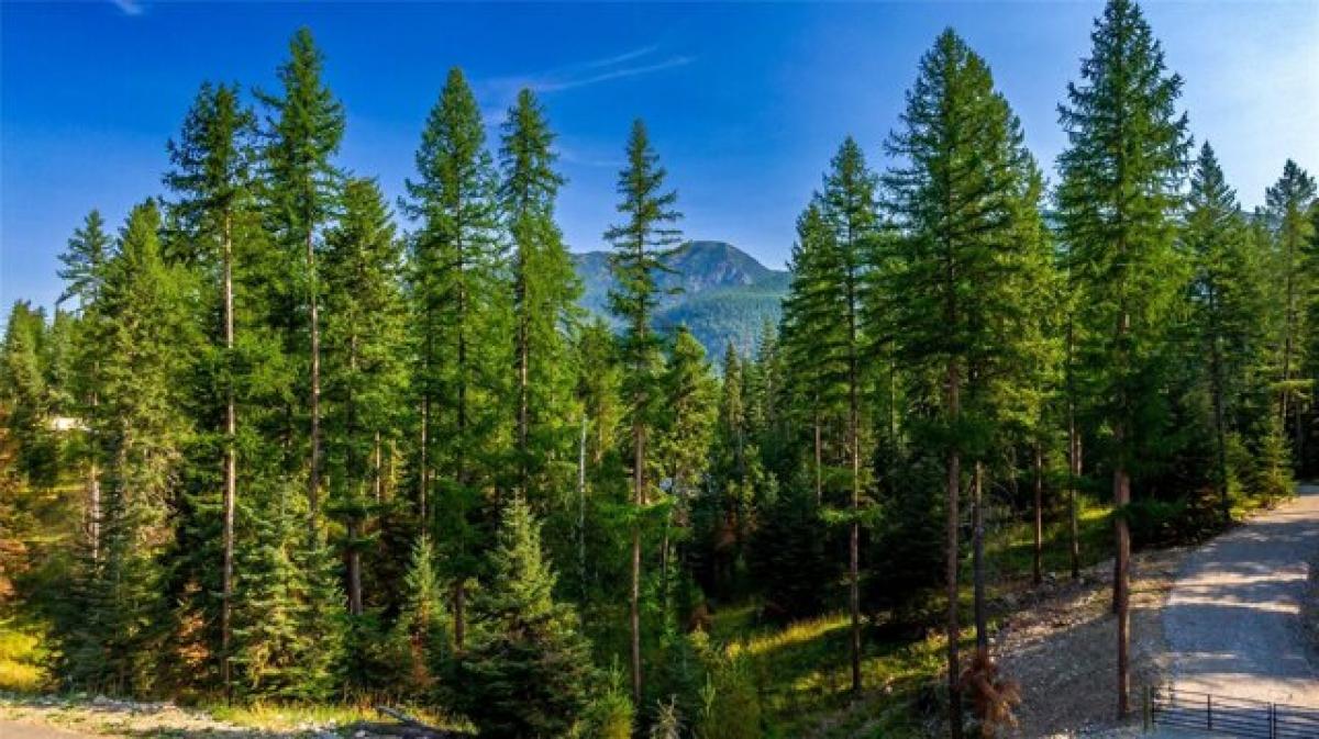 Picture of Residential Land For Sale in Kalispell, Montana, United States