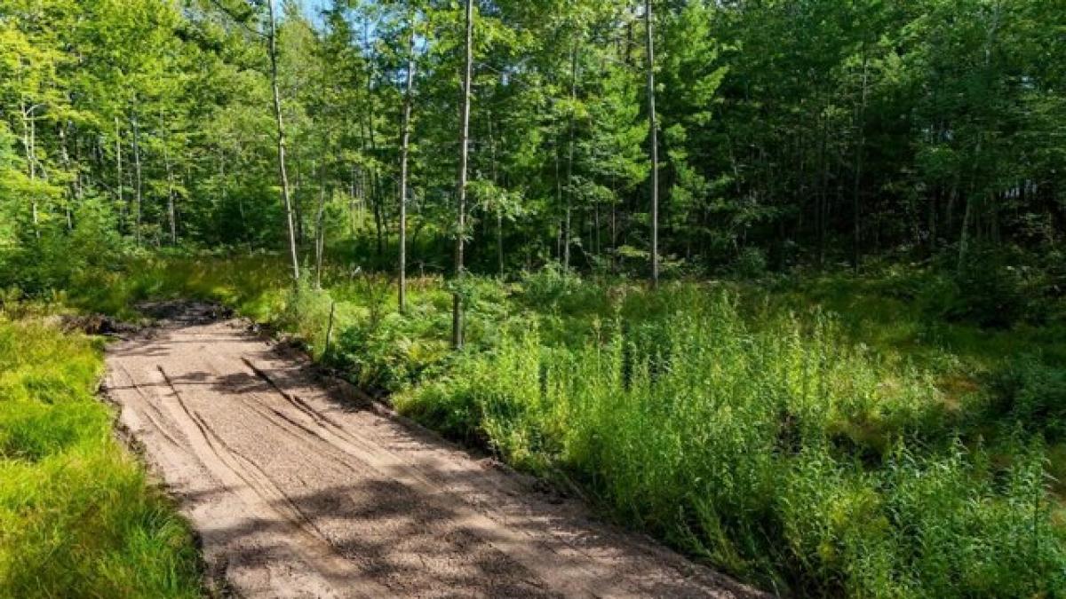 Picture of Residential Land For Sale in Minocqua, Wisconsin, United States