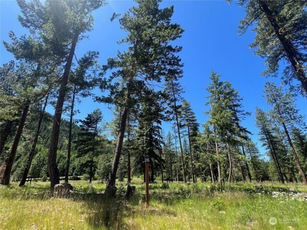 Picture of Residential Land For Sale in Cle Elum, Washington, United States