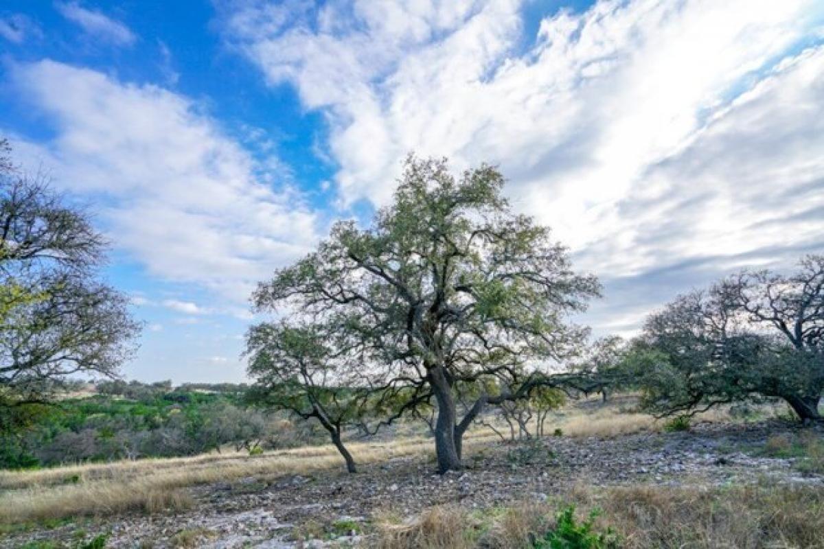 Picture of Residential Land For Sale in Kerrville, Texas, United States