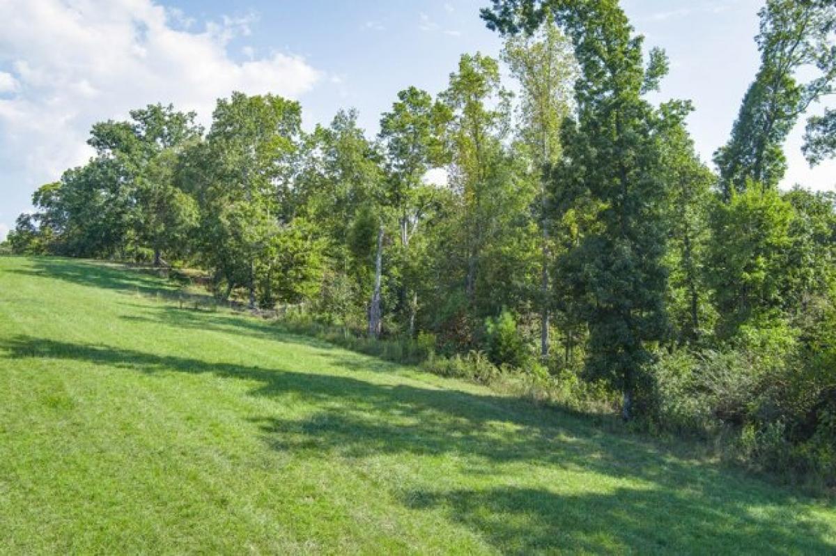 Picture of Residential Land For Sale in Sparta, Tennessee, United States