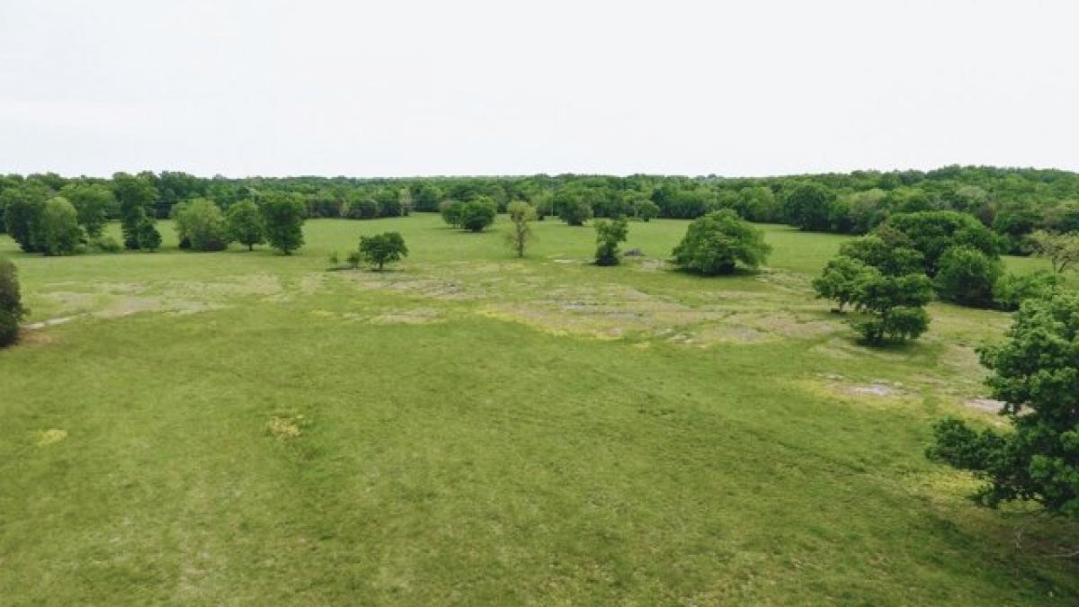 Picture of Residential Land For Sale in Shelbyville, Tennessee, United States