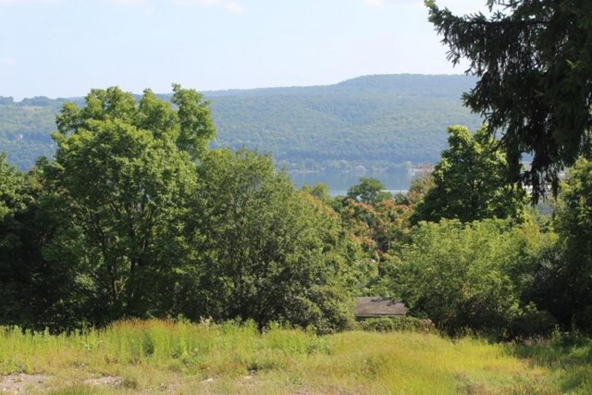 Picture of Residential Land For Sale in Watkins Glen, New York, United States