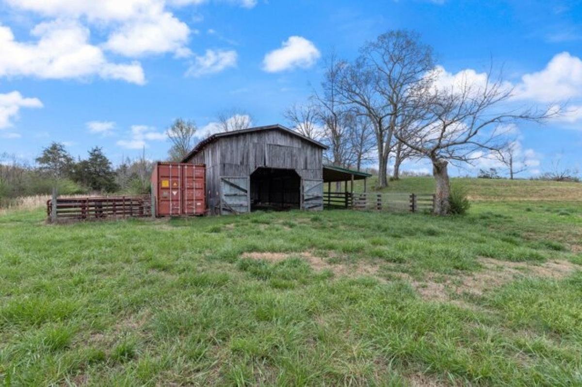 Picture of Residential Land For Sale in Mcewen, Tennessee, United States