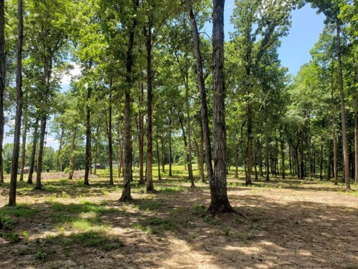 Picture of Residential Land For Sale in Spring Hill, Tennessee, United States