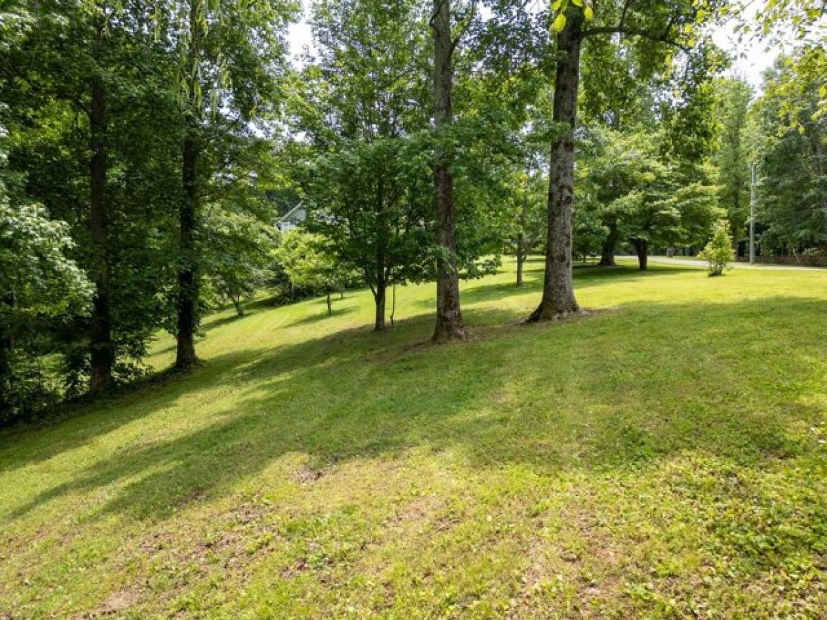 Picture of Residential Land For Sale in Silver Point, Tennessee, United States