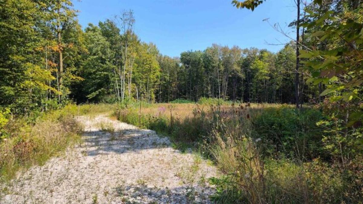 Picture of Residential Land For Sale in Casco, Michigan, United States