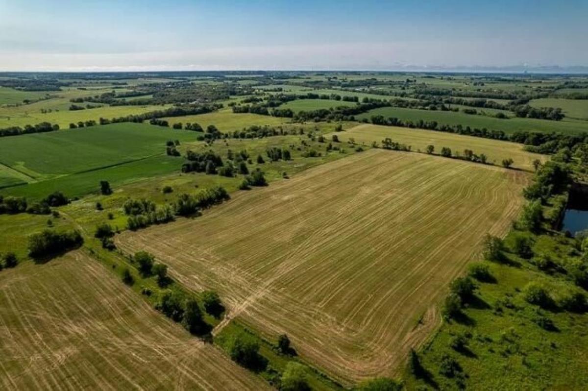 Picture of Residential Land For Sale in Pecatonica, Illinois, United States