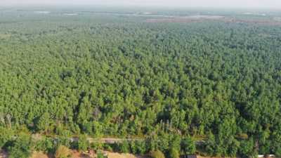 Residential Land For Sale in Deridder, Louisiana