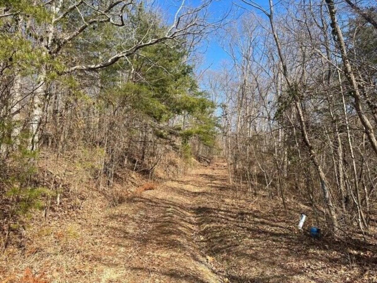 Picture of Residential Land For Sale in Williamsburg, Kentucky, United States