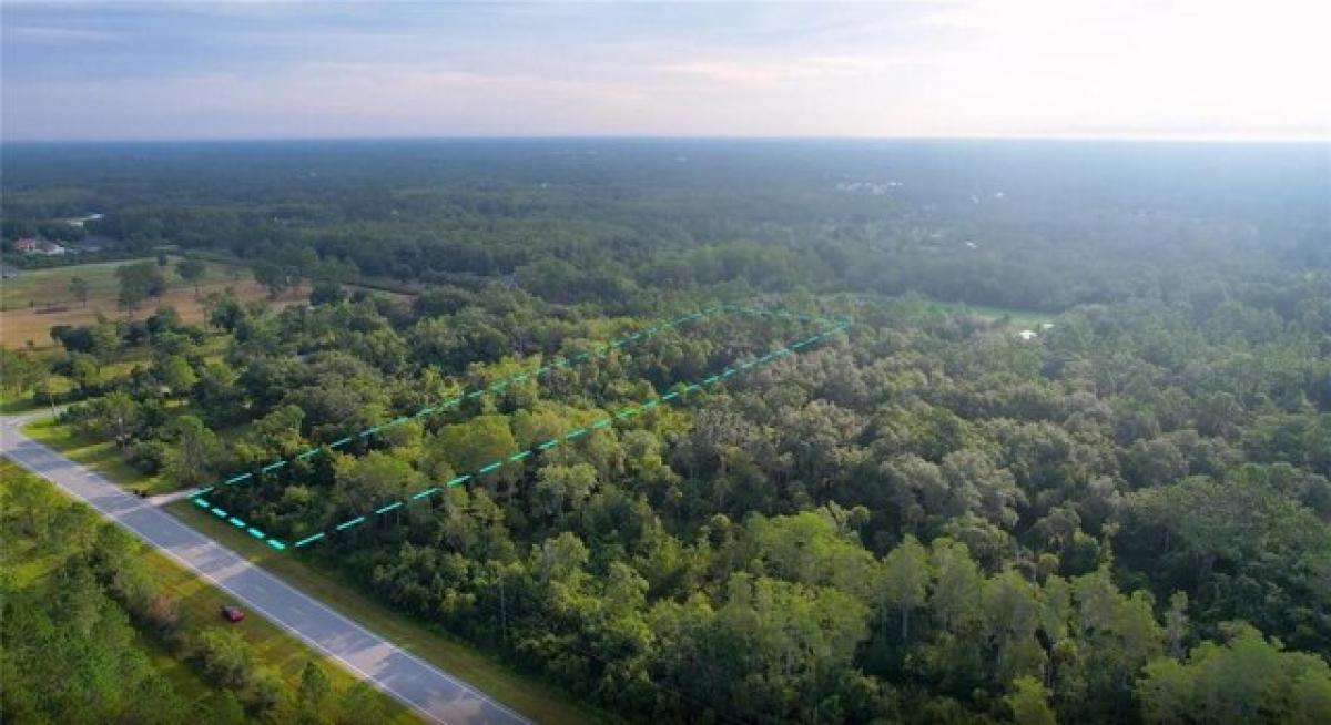 Picture of Residential Land For Sale in Orlando, Florida, United States