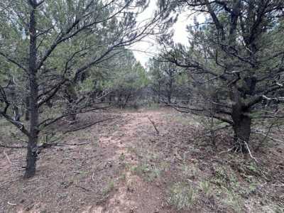 Residential Land For Sale in Ridgway, Colorado