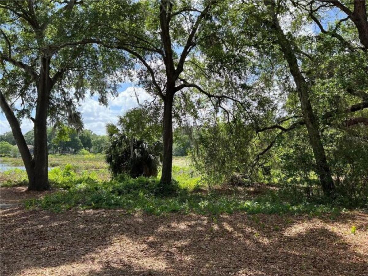 Picture of Residential Land For Sale in Leesburg, Florida, United States