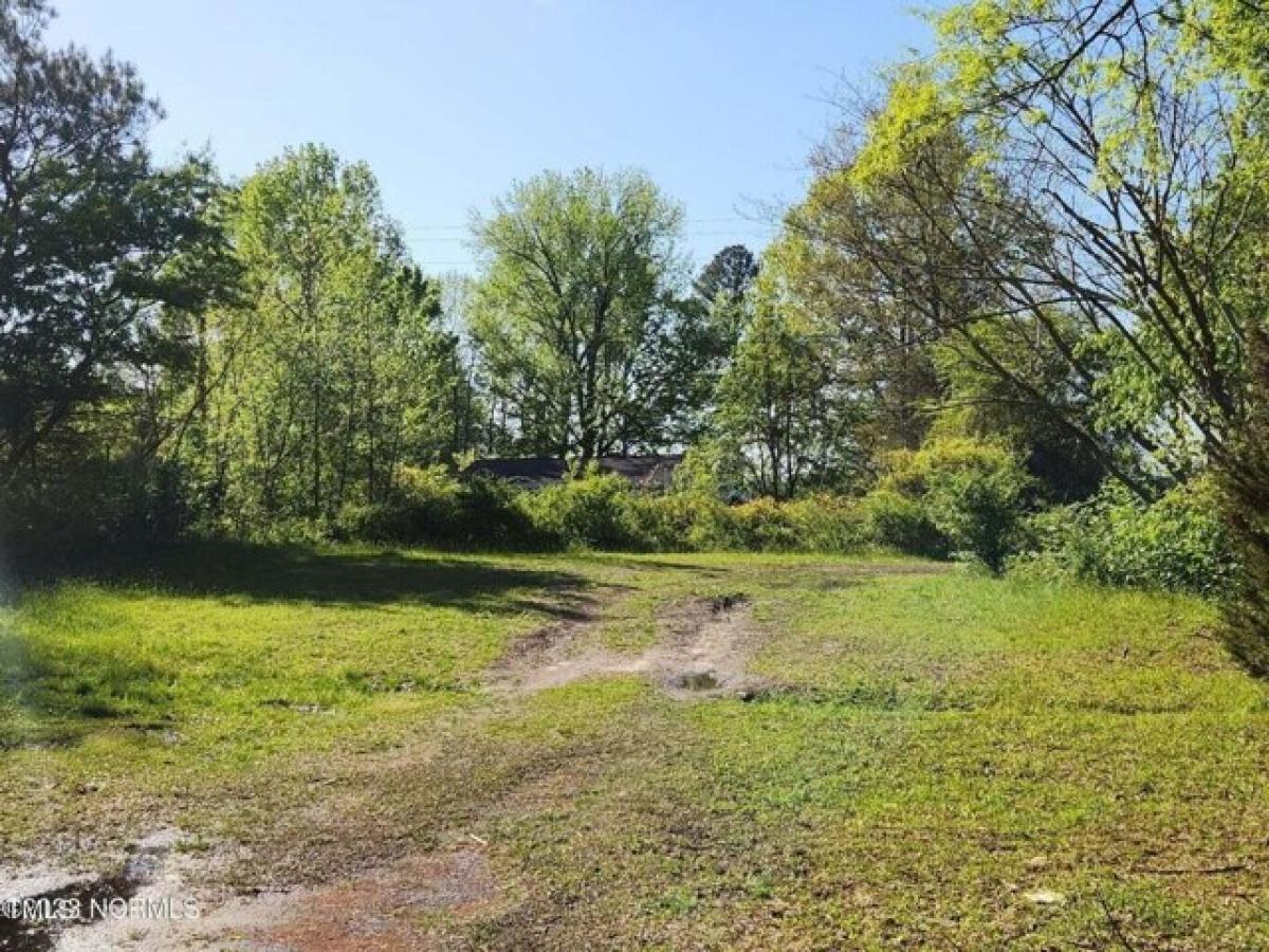 Picture of Residential Land For Sale in Tarboro, North Carolina, United States