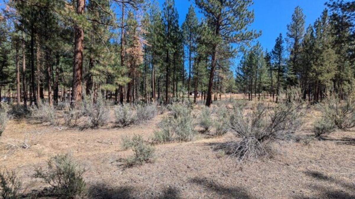 Picture of Residential Land For Sale in Chiloquin, Oregon, United States