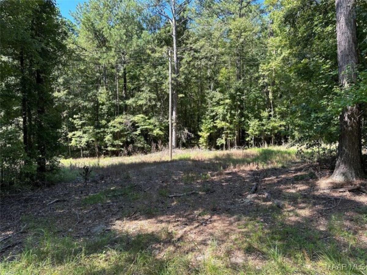 Picture of Residential Land For Sale in Rockford, Alabama, United States