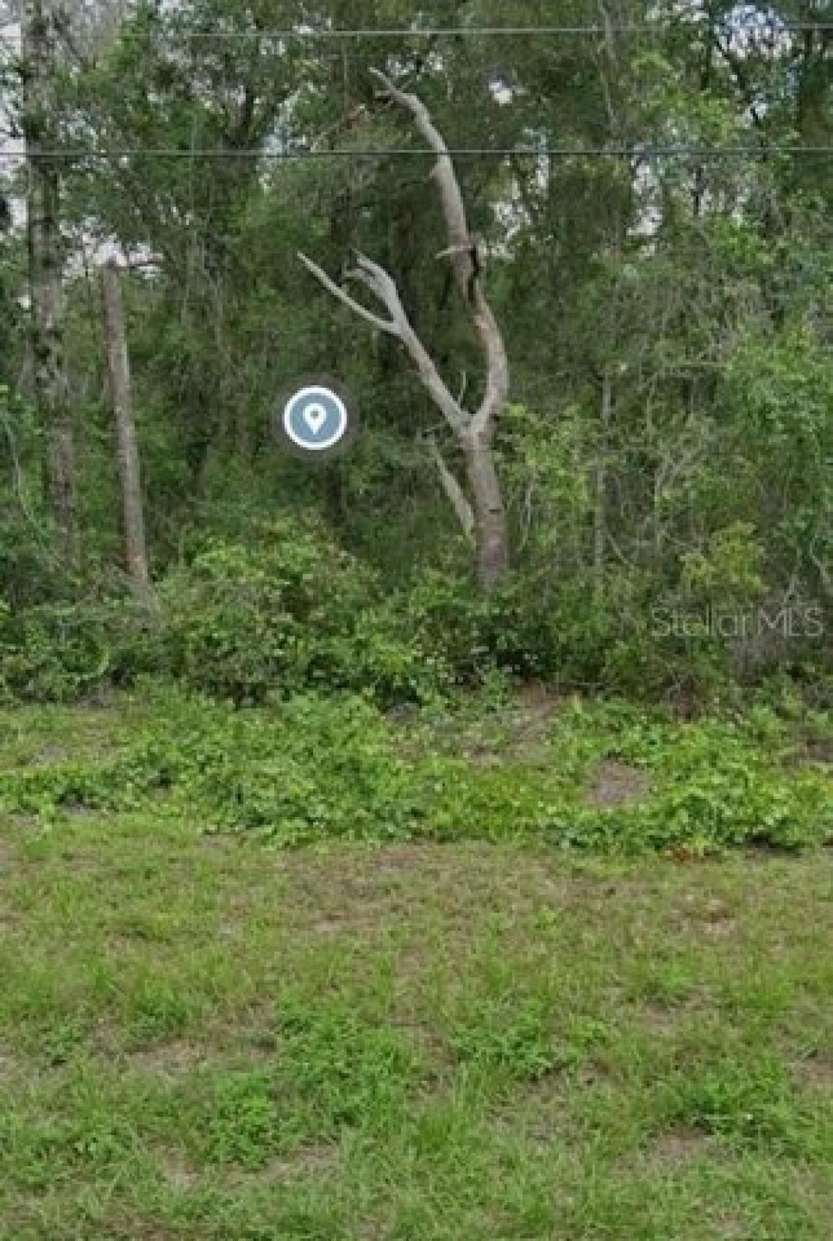 Picture of Residential Land For Sale in Inverness, Florida, United States