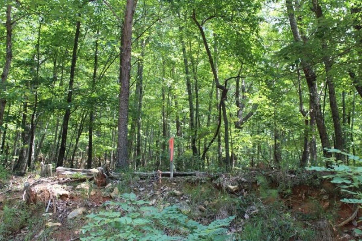 Picture of Residential Land For Sale in Jasper, Georgia, United States