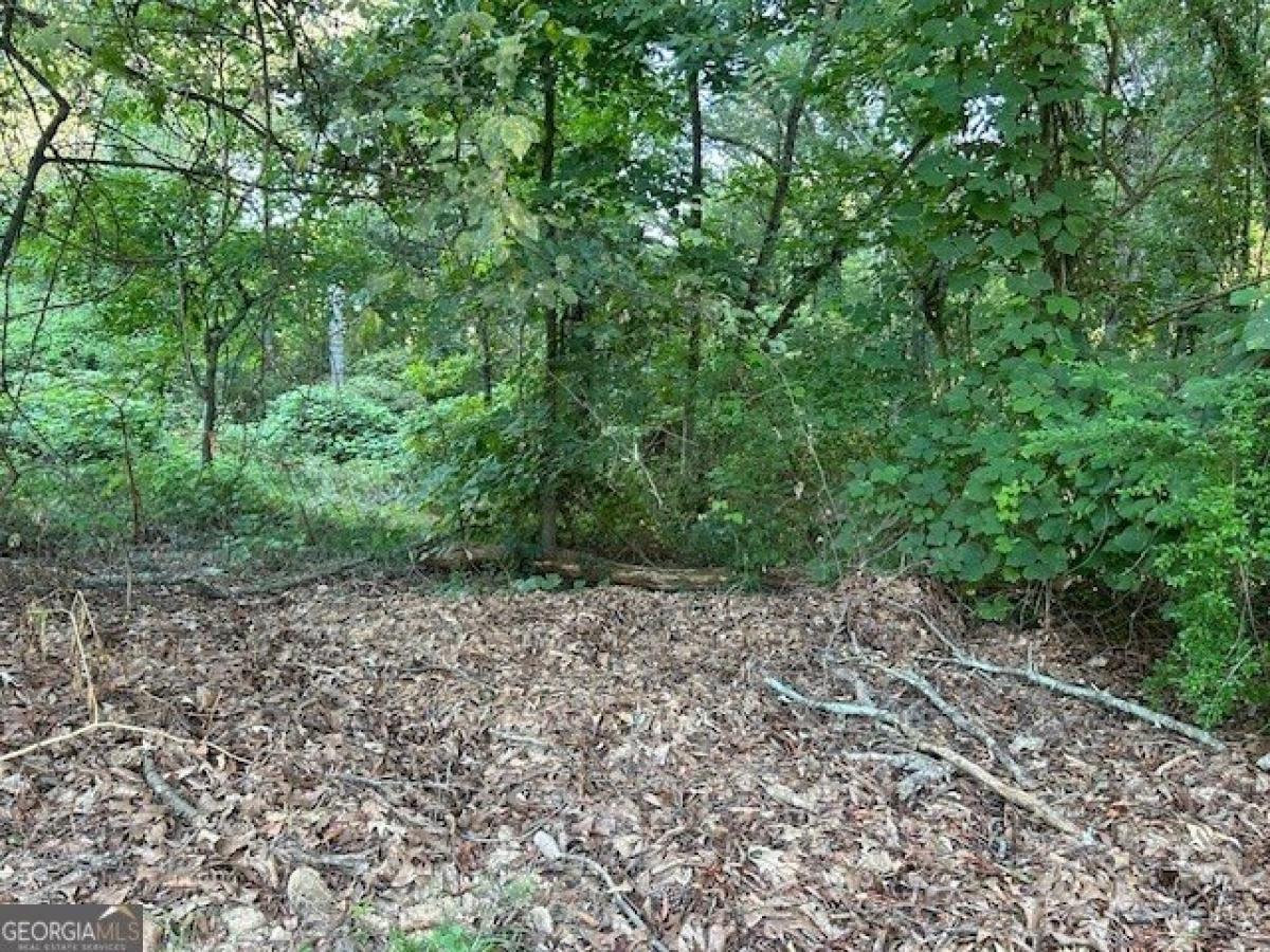 Picture of Residential Land For Sale in Auburn, Georgia, United States