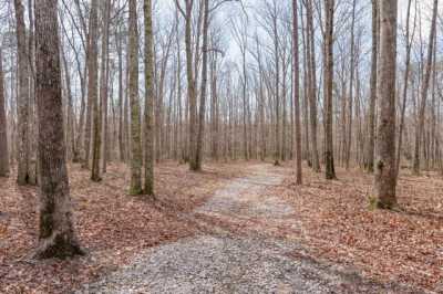 Residential Land For Sale in Coalmont, Tennessee