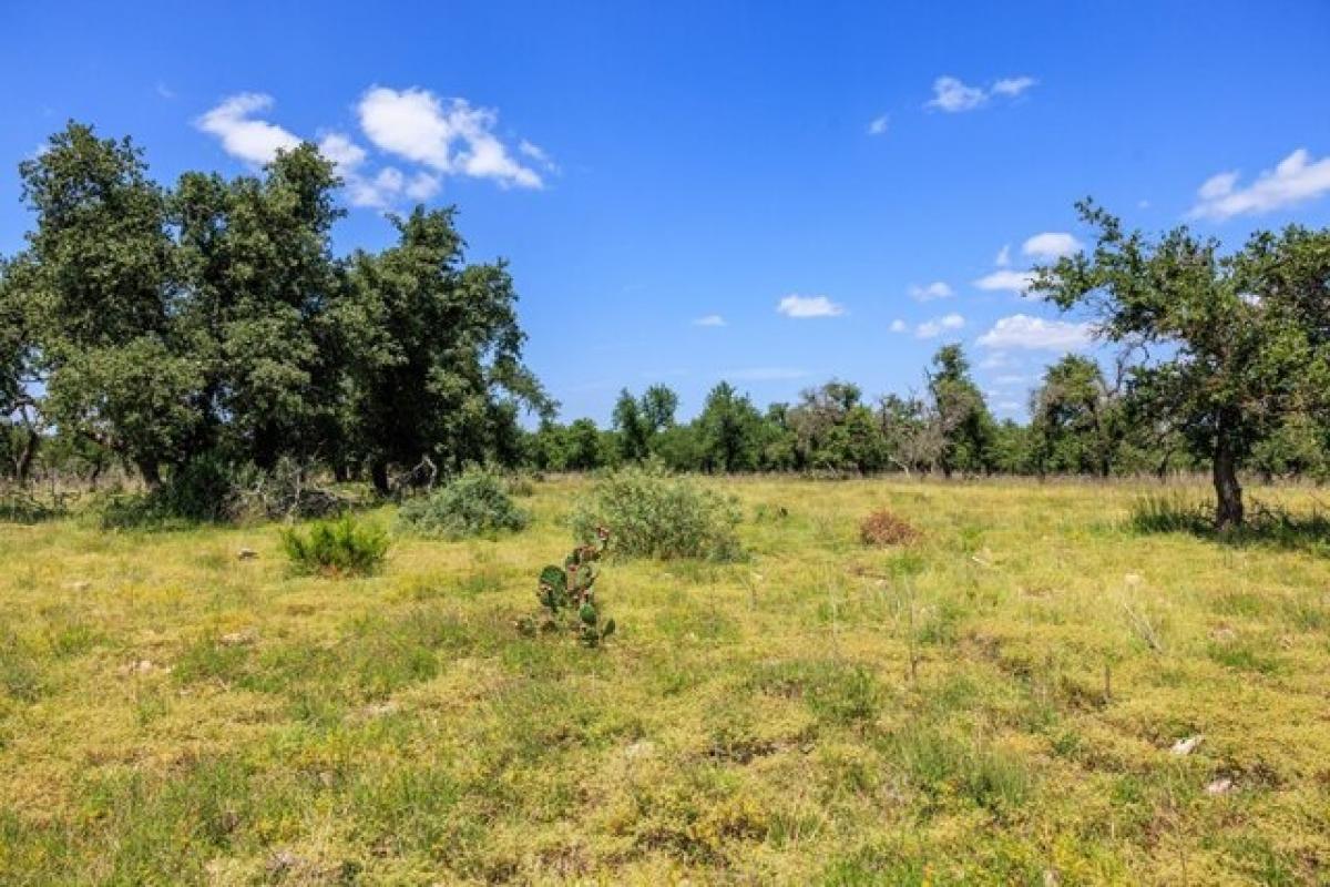 Picture of Residential Land For Sale in Fredericksburg, Texas, United States