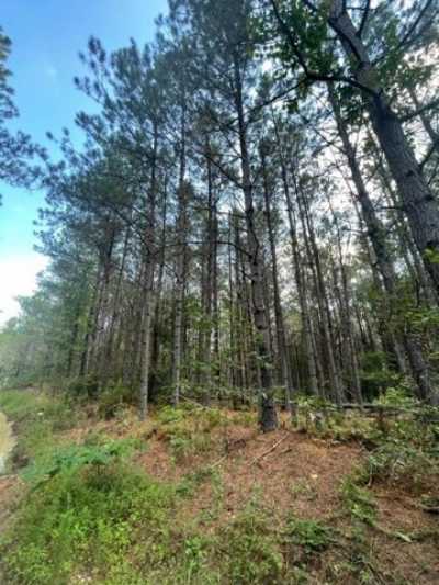 Residential Land For Sale in Hohenwald, Tennessee