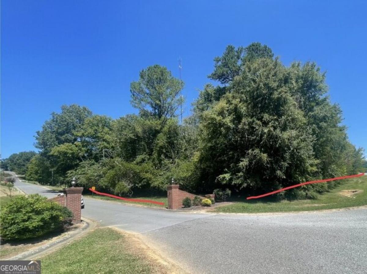 Picture of Residential Land For Sale in Summerville, Georgia, United States