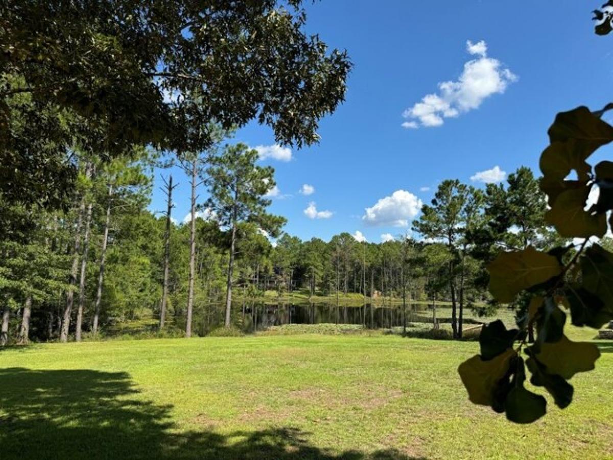 Picture of Residential Land For Sale in Hazlehurst, Georgia, United States