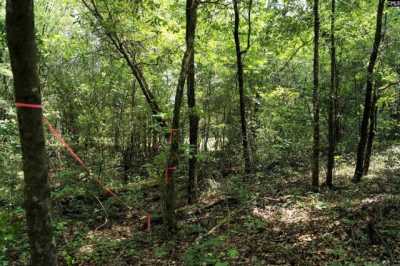 Residential Land For Sale in Pelion, South Carolina