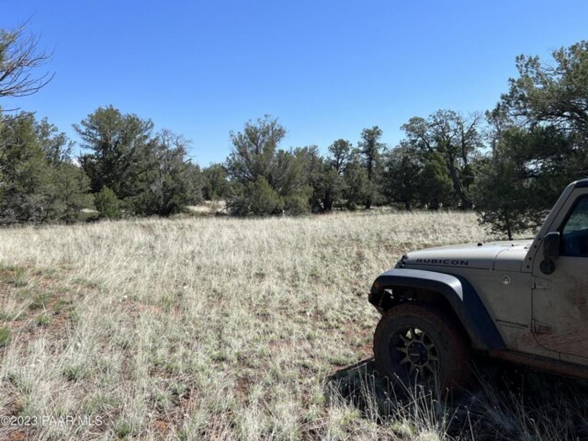 Picture of Residential Land For Sale in Ash Fork, Arizona, United States