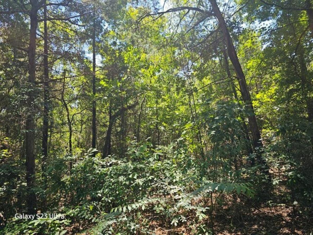 Picture of Residential Land For Sale in Clayton, Alabama, United States