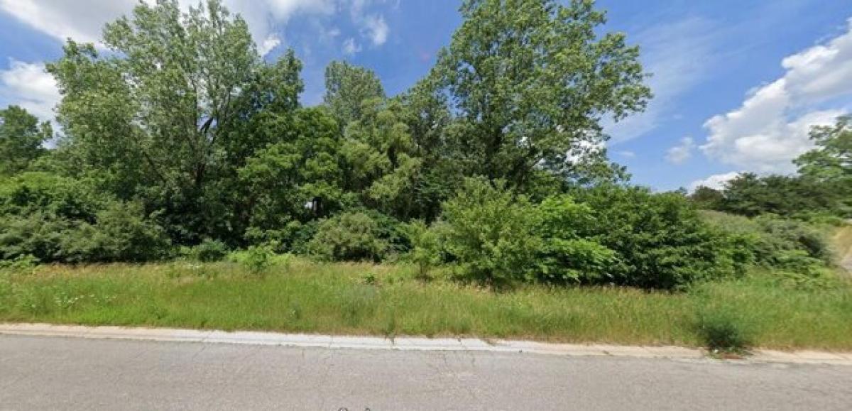 Picture of Residential Land For Sale in Grand Rapids, Michigan, United States