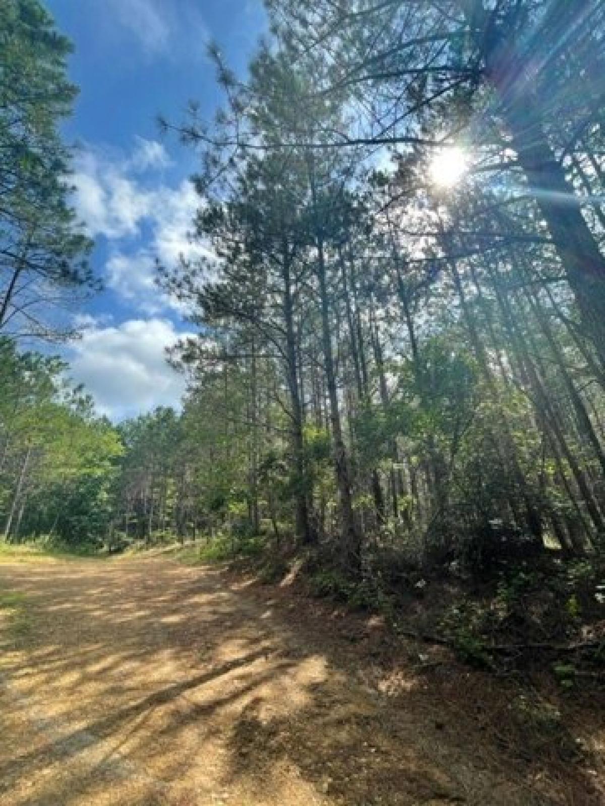 Picture of Residential Land For Sale in Hohenwald, Tennessee, United States