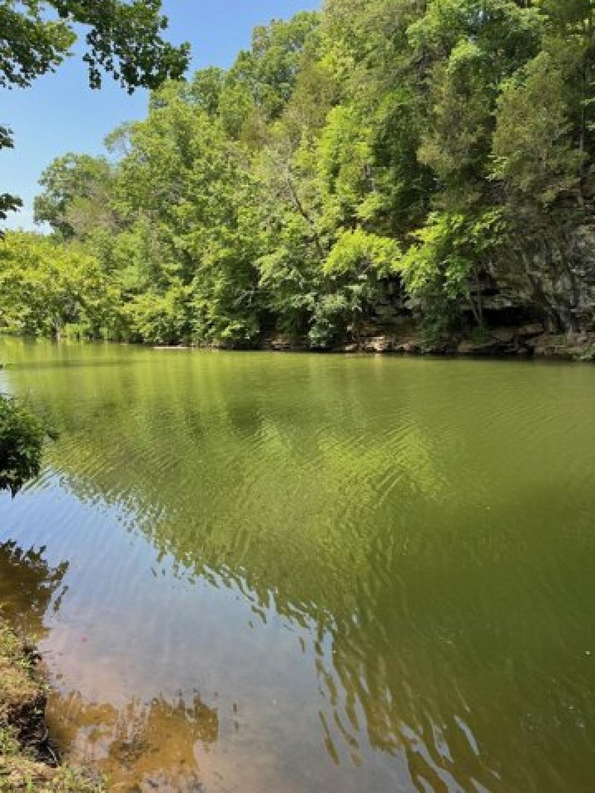 Picture of Residential Land For Sale in Rock Island, Tennessee, United States