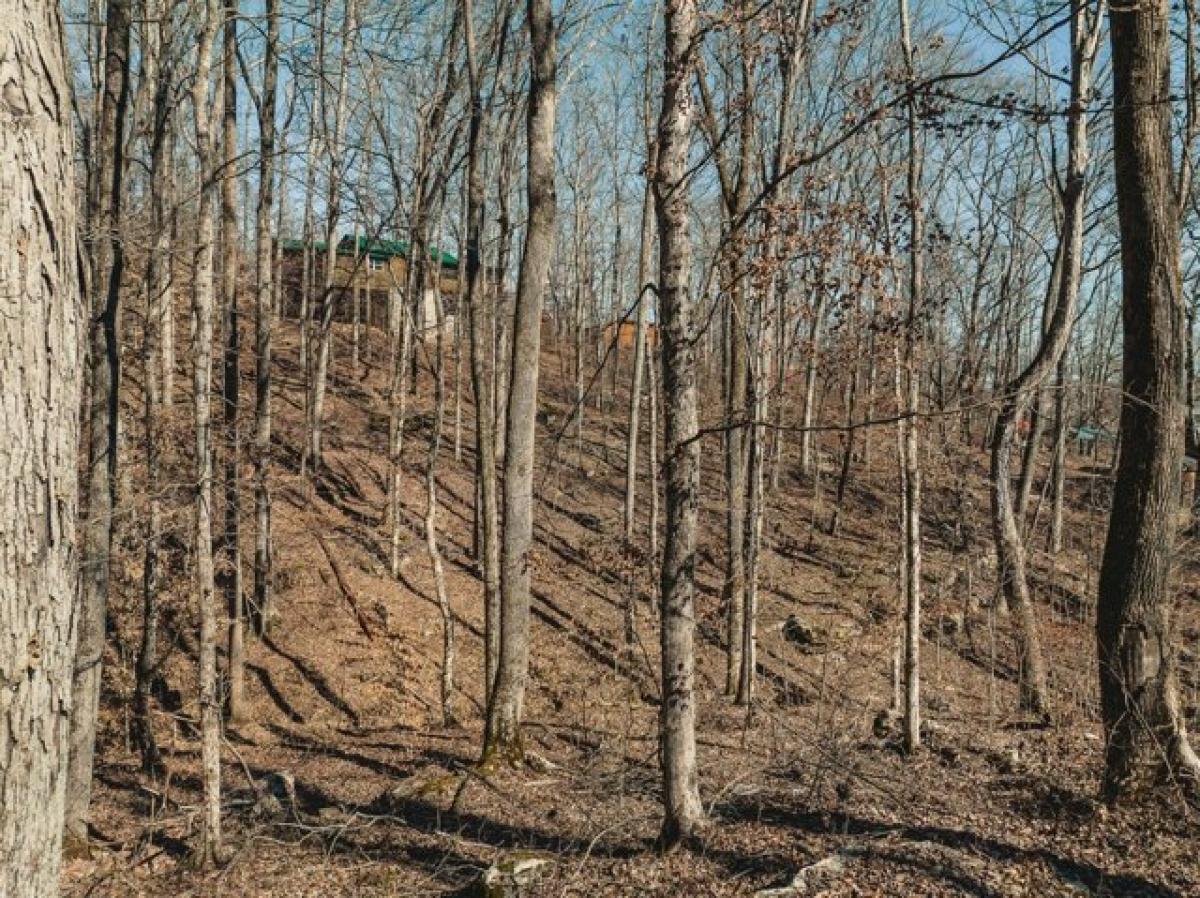 Picture of Residential Land For Sale in Sugar Tree, Tennessee, United States