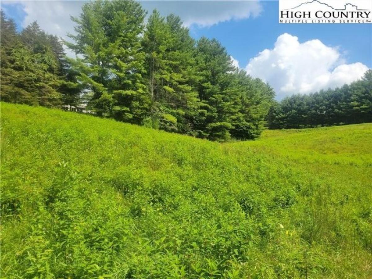 Picture of Residential Land For Sale in Vilas, North Carolina, United States