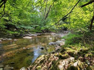 Residential Land For Sale in Mouth of Wilson, Virginia