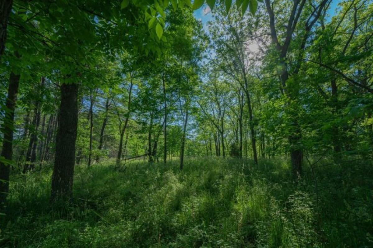 Picture of Residential Land For Sale in Richland, Michigan, United States