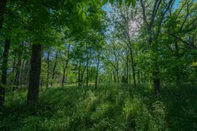 Residential Land For Sale in Richland, Michigan